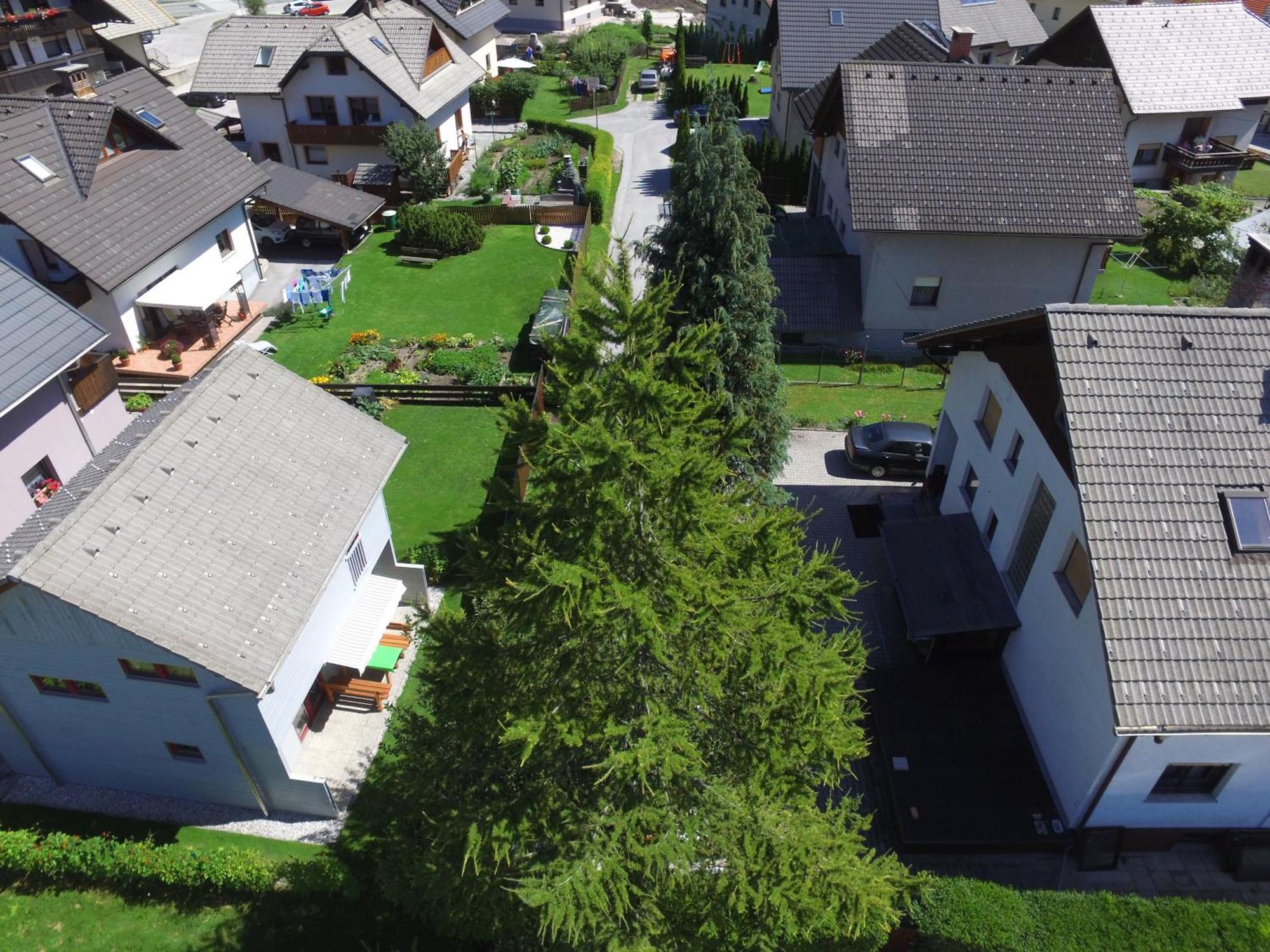 Apartments And Holiday Home Grohar Kranjska Gora Exteriör bild